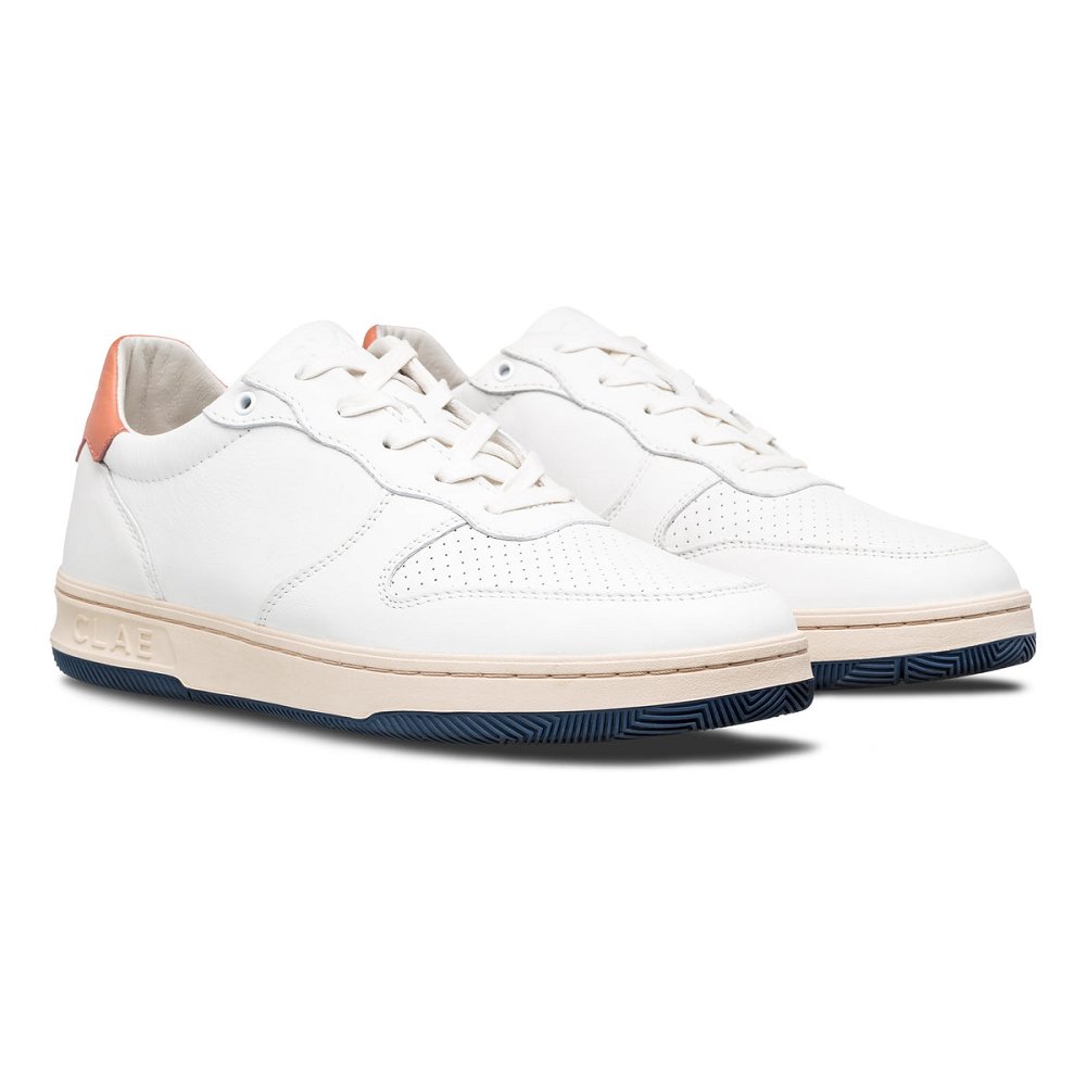 CLAE MALONE Shoes Mens USA907-S52 In White Leather Canyon Sunset